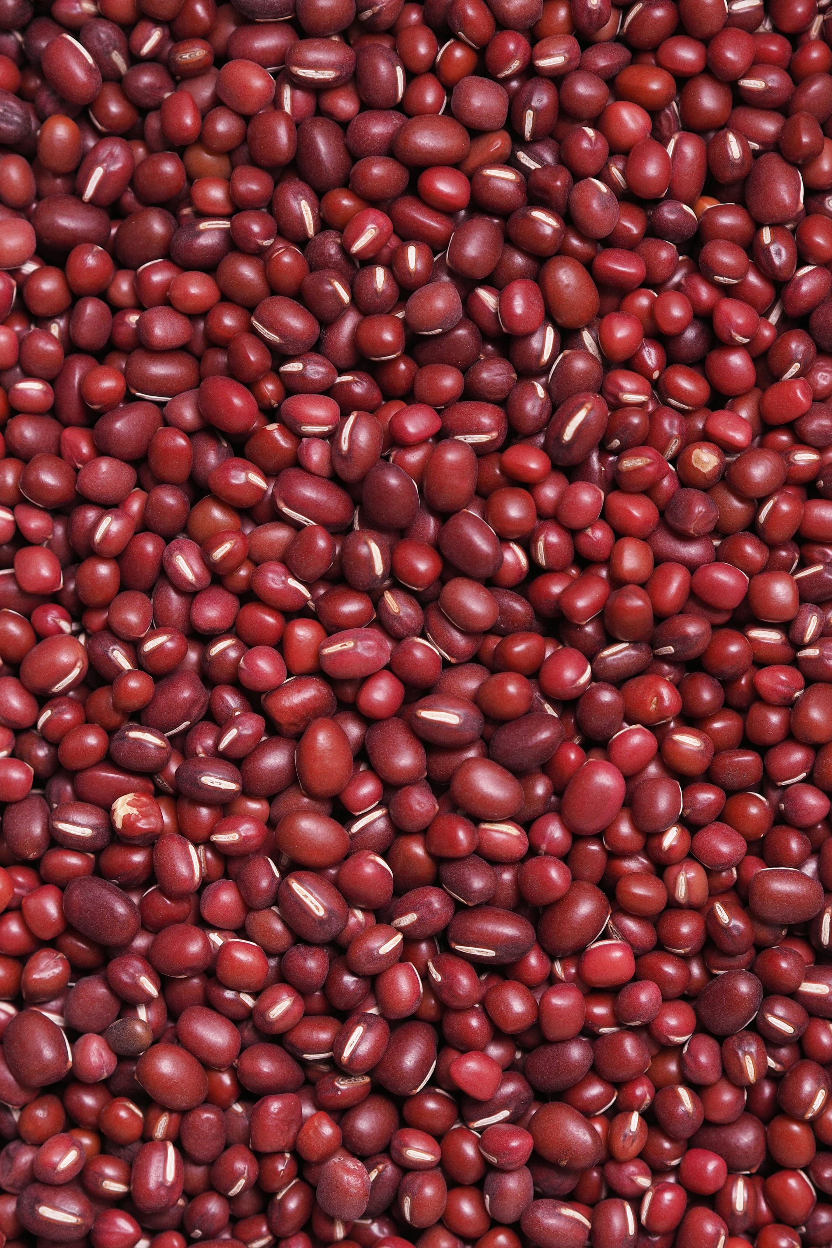 Fair Trade Coffee Beans